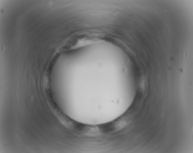 X0000083060715200702232021