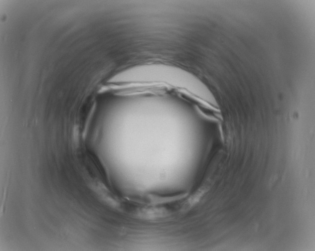 X0000083060716200702232021