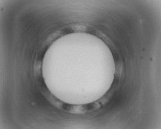 X0000083060717200702232021