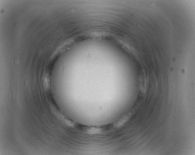 X0000083060718200702232021