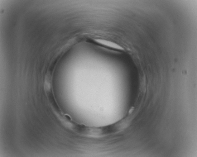 X0000083060719200702232021