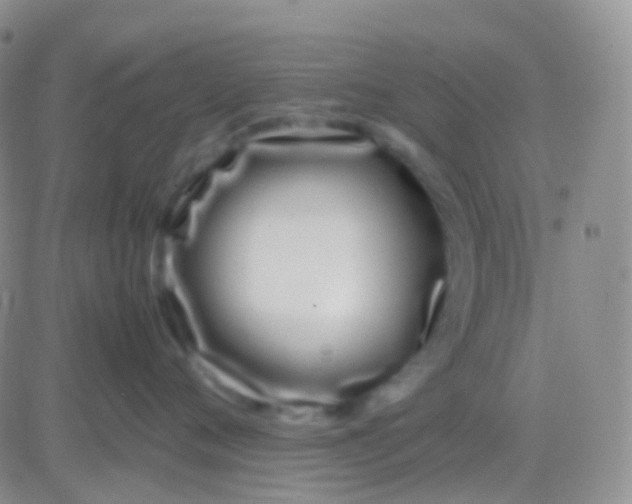 X0000083060720200702232021