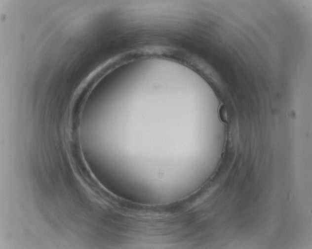 X0000083060722200702232020