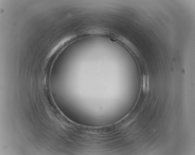 X0000083060723200702232020