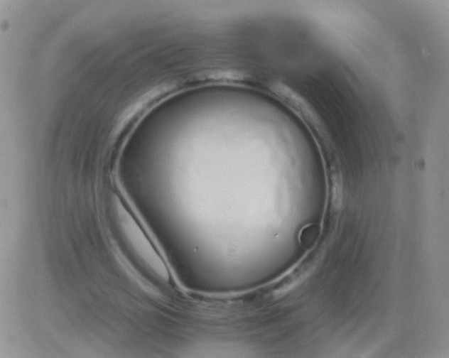 X0000083060725200702232020