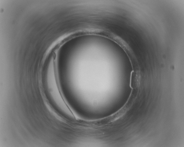 X0000083060726200702232020