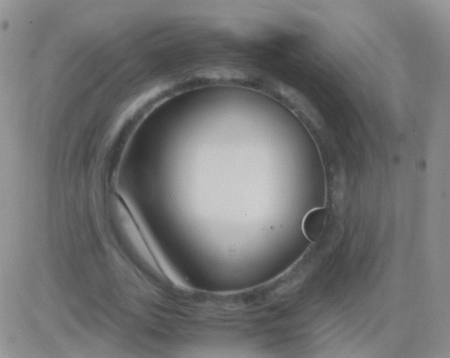 X0000083060727200702232020