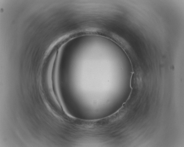 X0000083060728200702232020