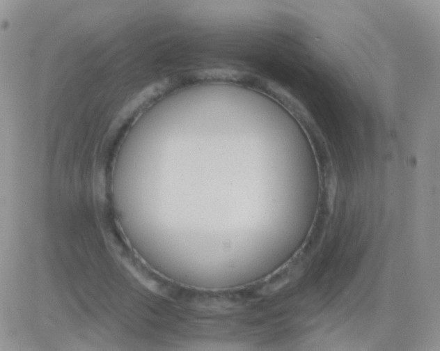 X0000083060729200702232020