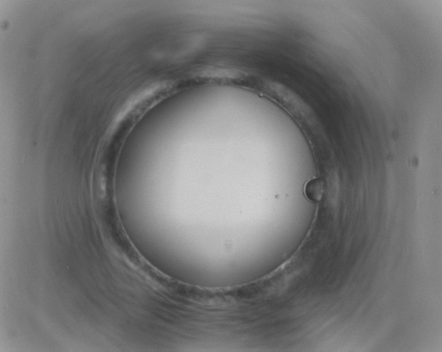 X0000083060731200702232020