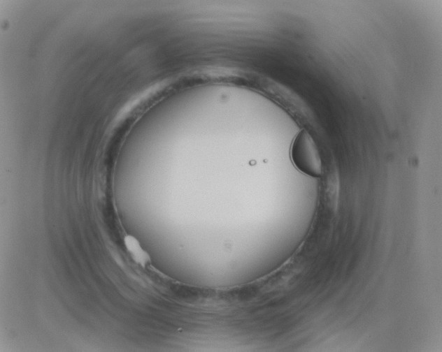 X0000083060732200702232020