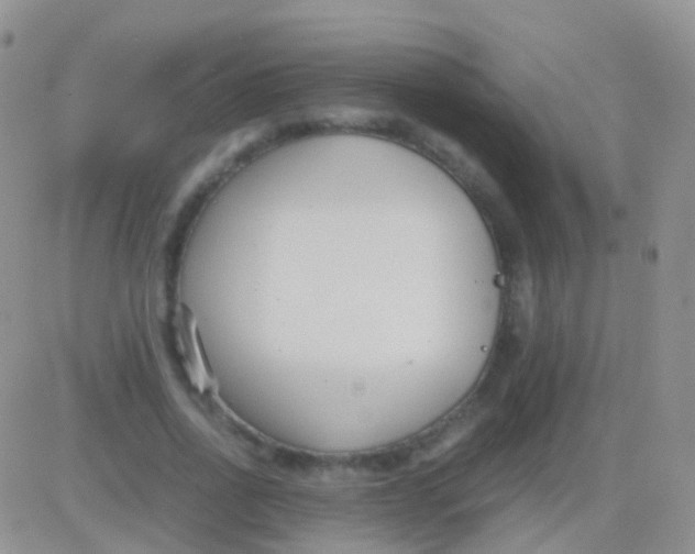 X0000083060734200702232020