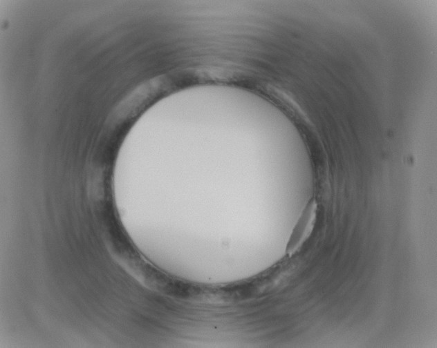 X0000083060738200702232020