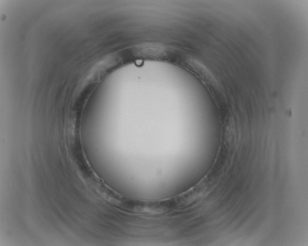 X0000083060739200702232020