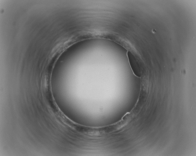 X0000083060740200702232021