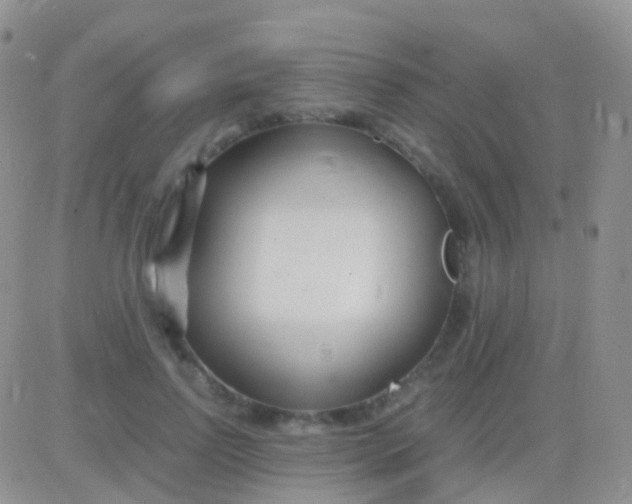 X0000083060742200702232021