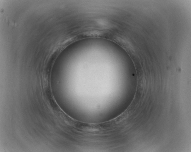 X0000083060743200702232021