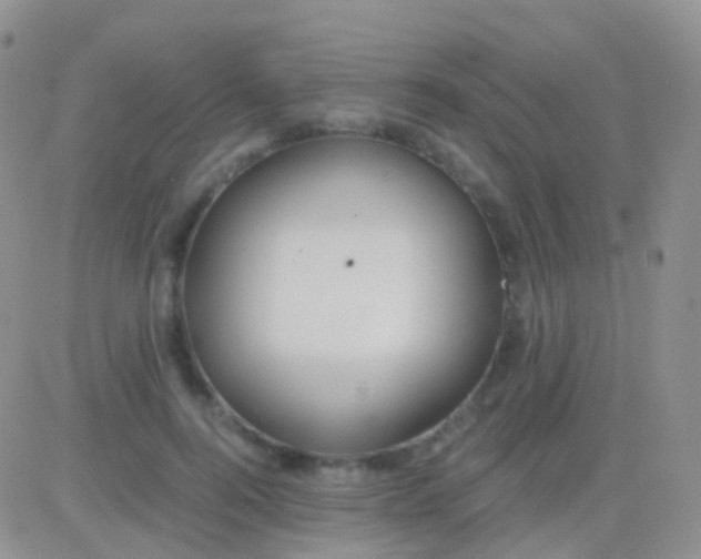 X0000083060744200702232021