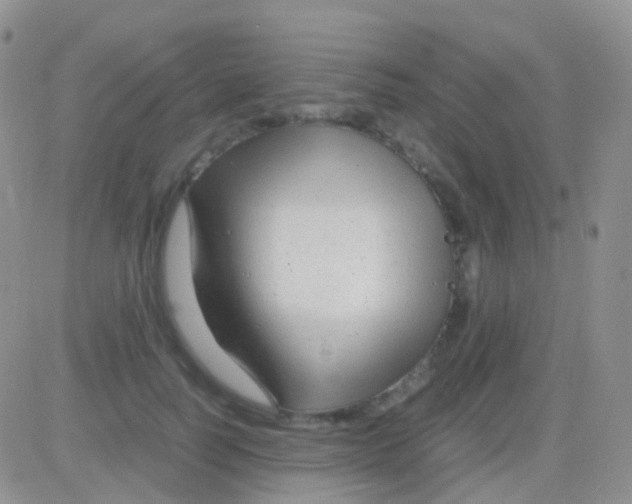 X0000083060746200702232021