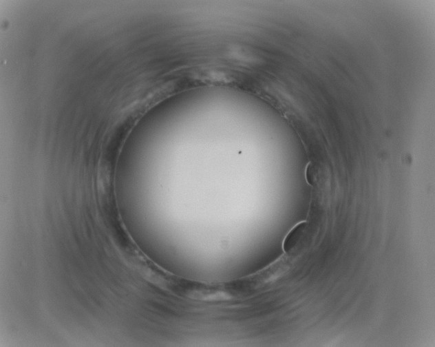 X0000083060747200702232021