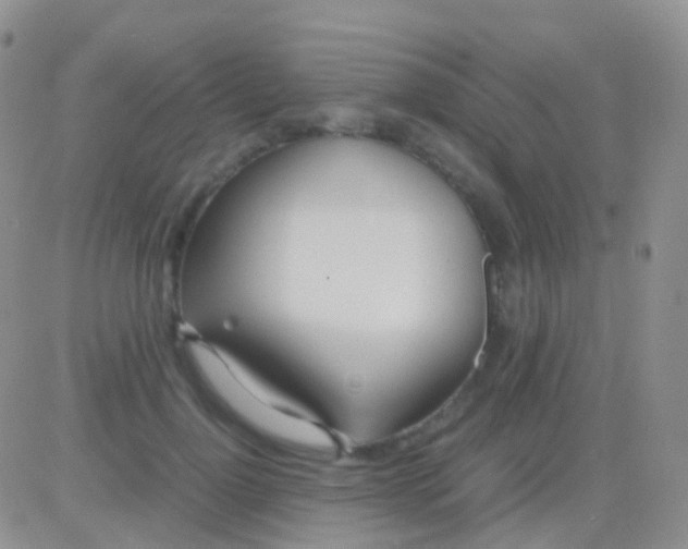 X0000083060748200702232021