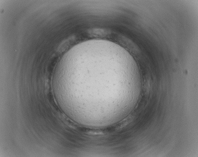 X0000083060749200702232021