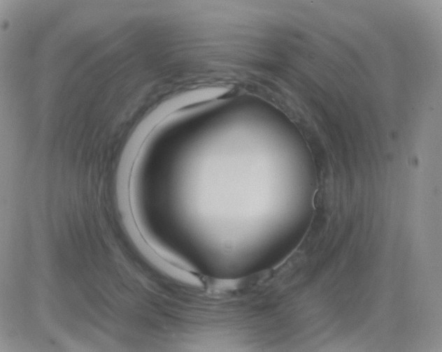 X0000083060750200702232021