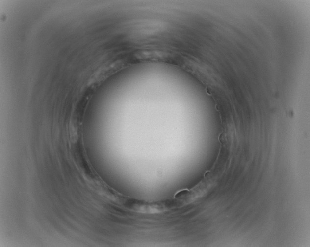 X0000083060751200702232021