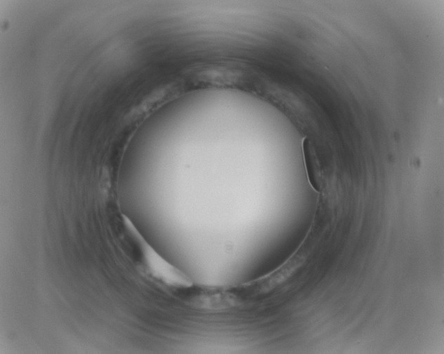 X0000083060752200702232021