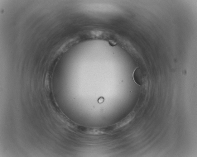 X0000083060754200702232021