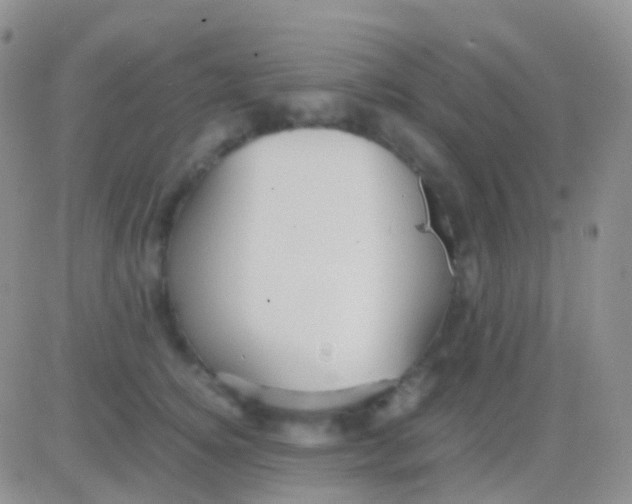 X0000083060756200702232021