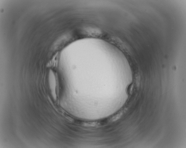 X0000083060757200702232021