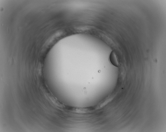 X0000083060758200702232021