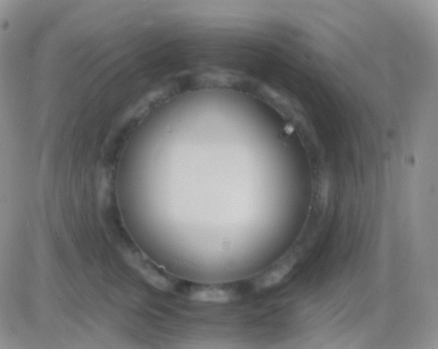 X0000083060759200702232021