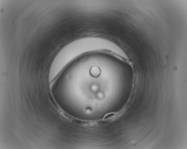 X0000083060761200702232021