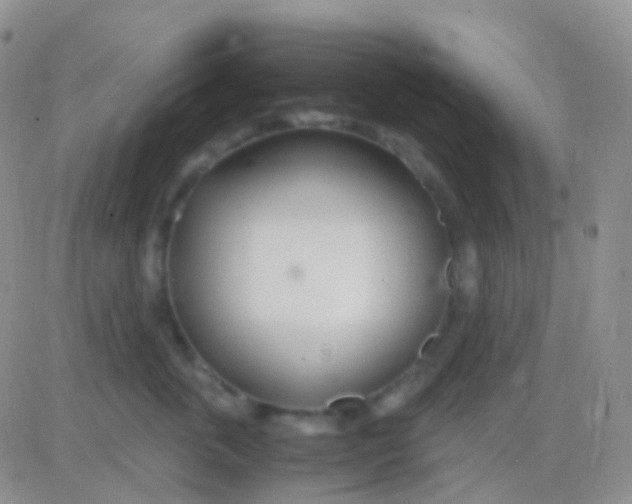 X0000083060763200702232021