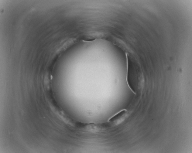 X0000083060764200702232021