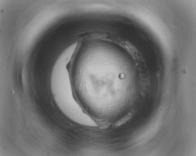 X0000083060765200702232021