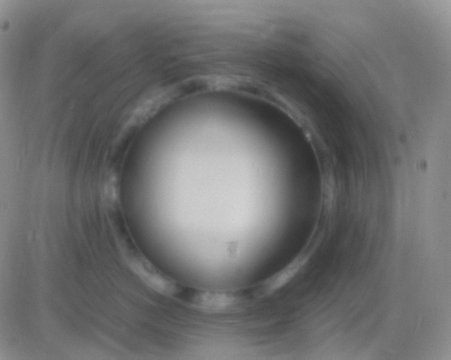 X0000083060766200702232021