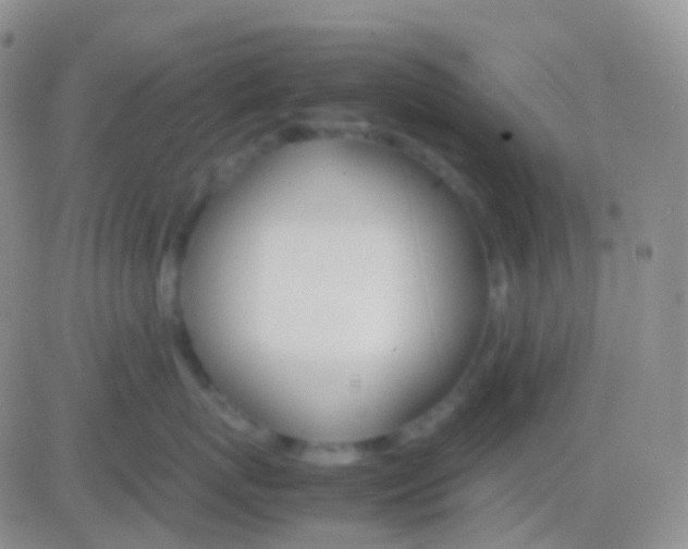 X0000083060767200702232021