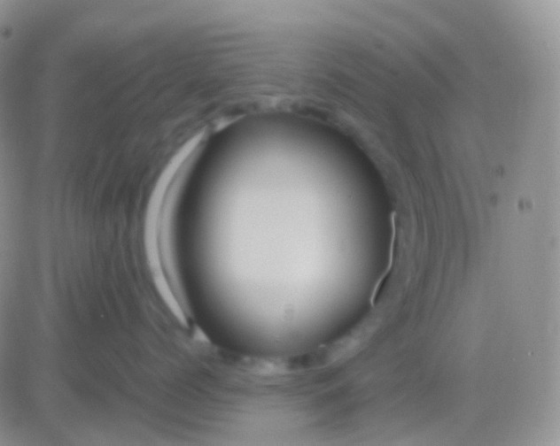 X0000083060768200702232021