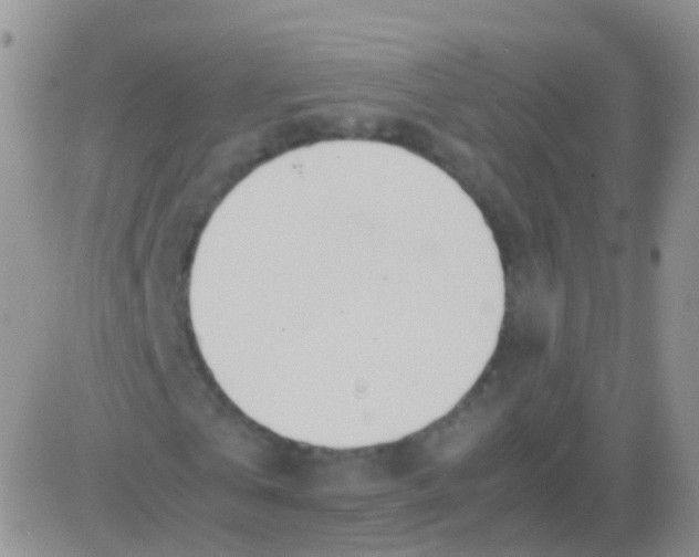 X0000083060769200702232020