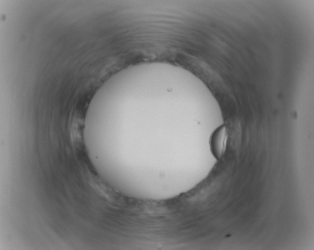 X0000083060770200702232020