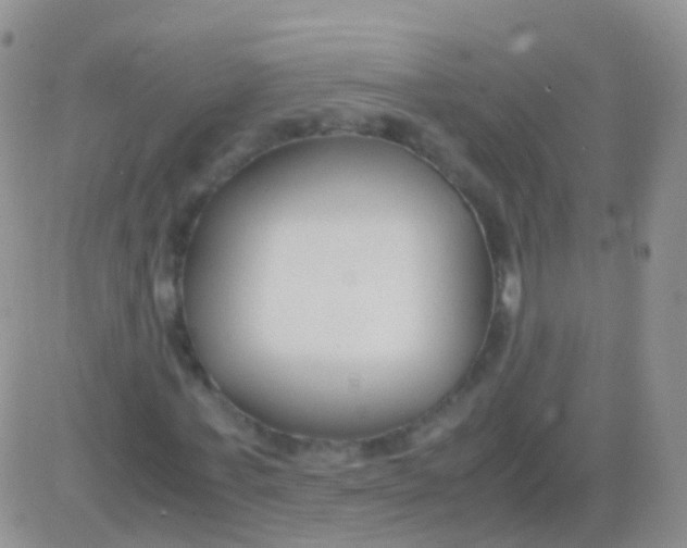 X0000083060771200702232020