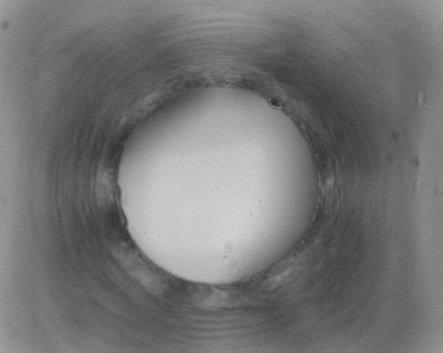 X0000083060772200702232020