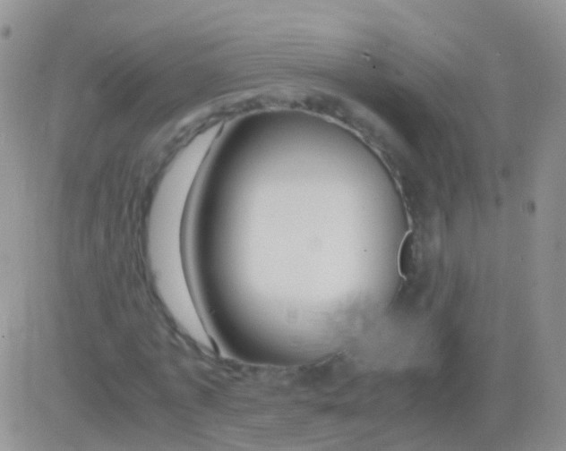 X0000083060773200702232020