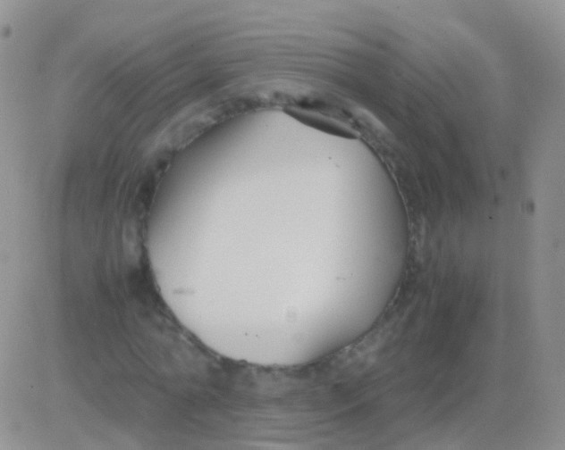 X0000083060774200702232020