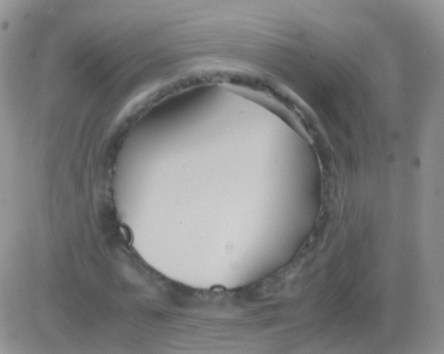 X0000083060775200702232020