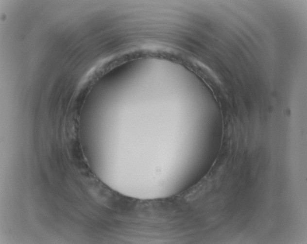 X0000083060776200702232020