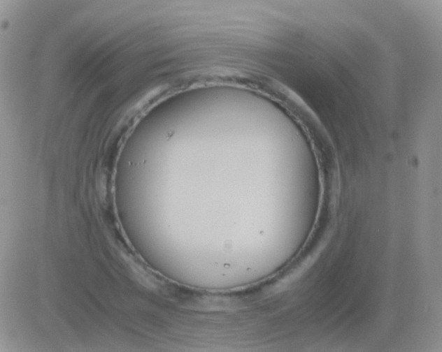 X0000083060777200702232020